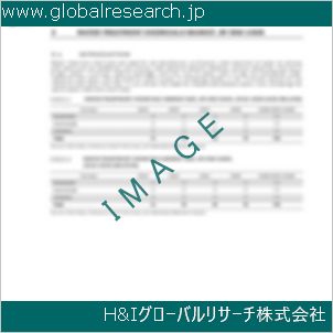 グローバルリサーチ調査資料のイメージ